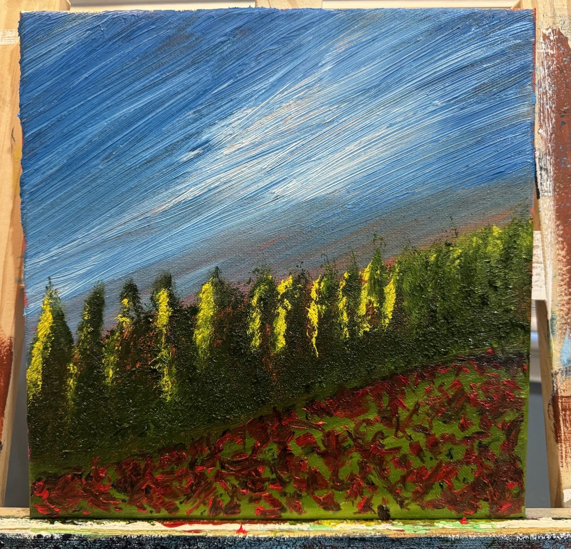 Sunlit pine trees